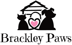 Brackley Paws Dog Walking